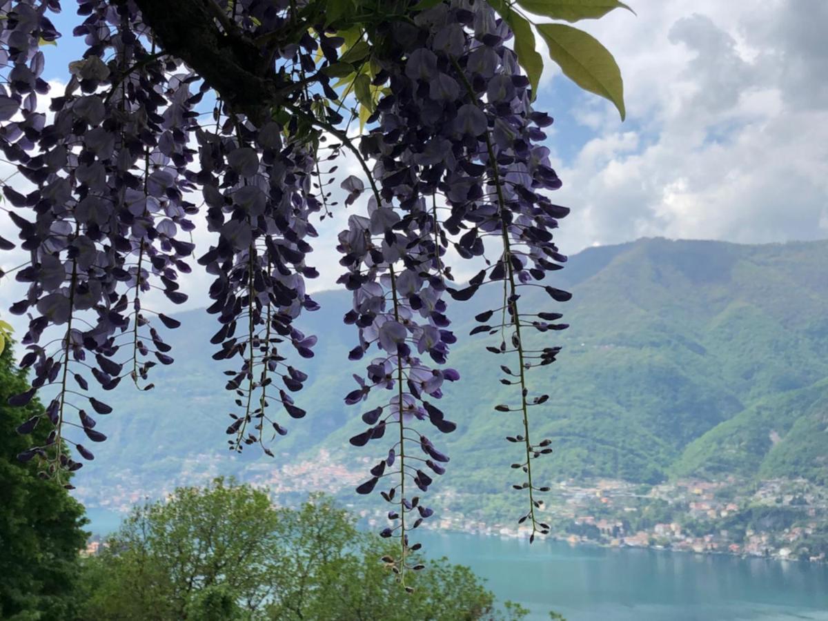 B&B Villa le Ortensie Faggeto Lario Exterior foto